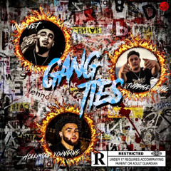 gang ties ft tubbsgetsabag & hollywood youngin