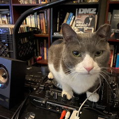 Essential Workers Thunder And Lobo Live Mix