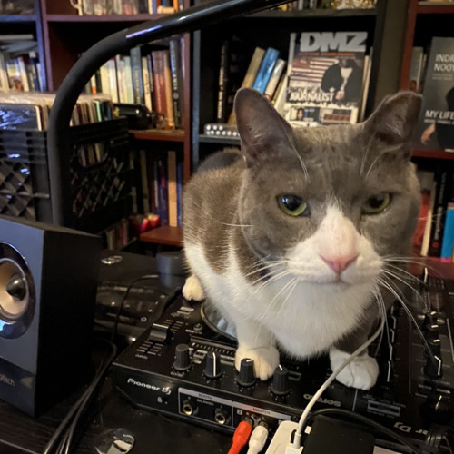 Essential Workers Thunder And Lobo Live Mix