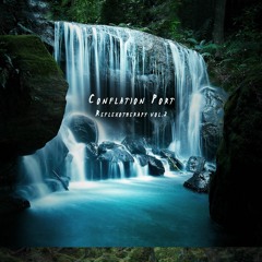 Conflation Port - Reflexotherapy Vol. 2