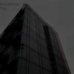 Meta Minsk - Trip