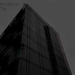 Meta Minsk - Trip