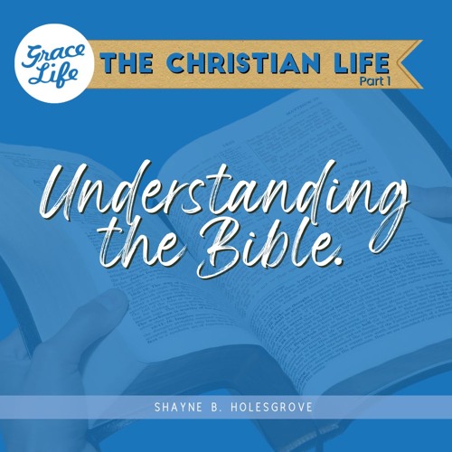 Understanding the Bible - The Christian Life Part 1 - Shayne Holesgrove (Rondebosch)