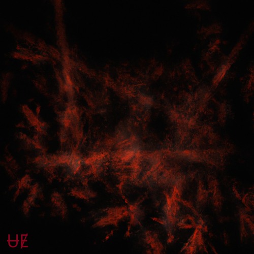 Peekaboo-All I Need Is Bass (USRERR flip)