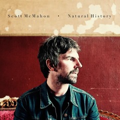 Scott McMahon - The Curve of the Ocean (Remix)