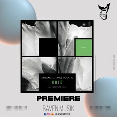 PREMIERE: Airbas Feat. Aves Volare - Hold (Two Are Remix) [Freegrant Music]