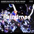 Sander van Doorn x Selva x Macon - Raindrops [Brosi Official Remix]