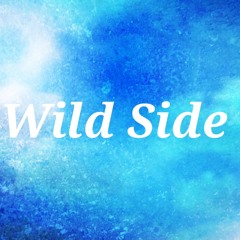 Wild Side - prod.syvl