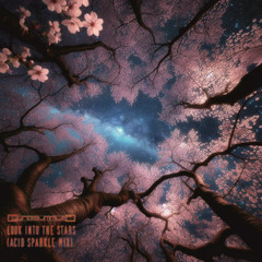 CLUNGSUMMLER - Look Into The Stars (Acid Sparkle Mix)