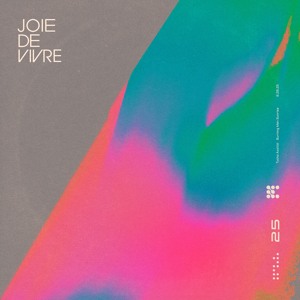 Joie De Vivre - Tycho Burning Man Sunrise 2025