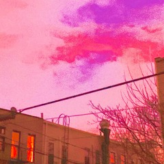 What Are They Doing Up There?