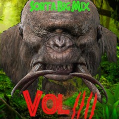 Sorta Big Mix Vol. 4