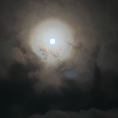 creature of the Night