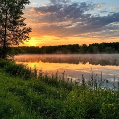 Fantastic Morning
