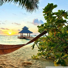 Landed ft Ronin B.A.R.Z