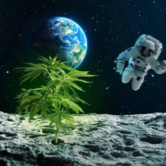 dont smoke weed