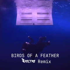 Billie Eilish - BIRDS OF A FEATHER (Spectre Remix) [Afro House] *Filtered Vocals FOR SC*