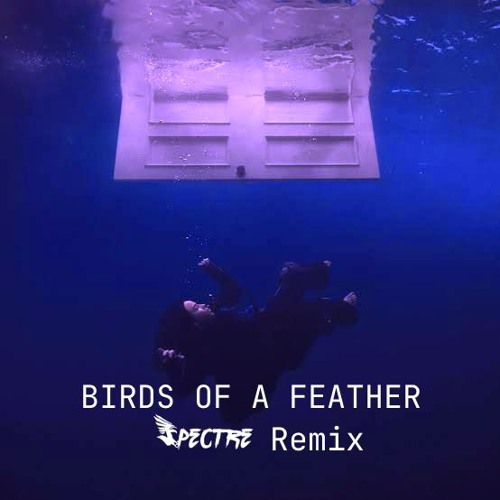 Billie Eilish - BIRDS OF A FEATHER (Spectre Remix) [Afro House] *Filtered Vocals FOR SC*