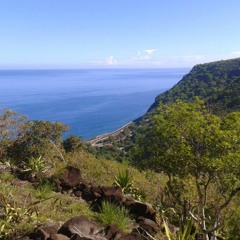 Seashore - Remixers S2 n°1 - 1h30 Compo