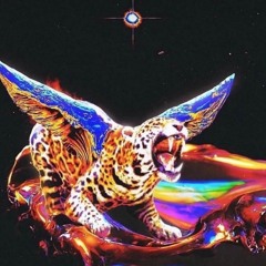 Starship