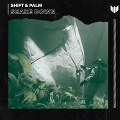 Shift & Palm - Shake Down