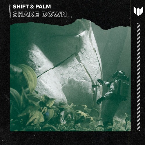 Shift & Palm - Shake Down