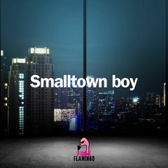 Punk Flamingo - Small Town Boy