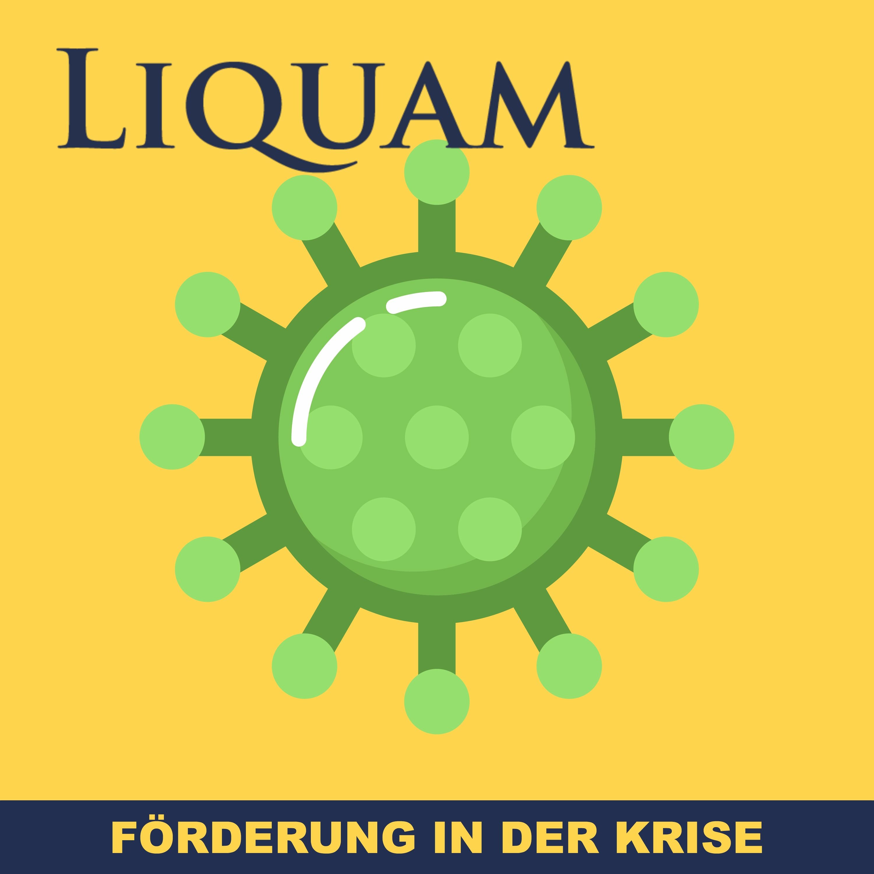 Liquam