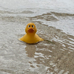 Flippi_Techno - Out of control