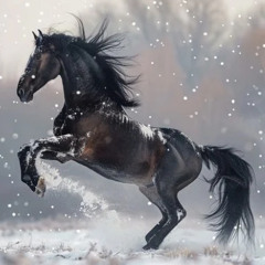 prance to my HARDTRANCE