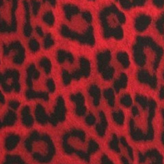 PERFECT B!H (faint)