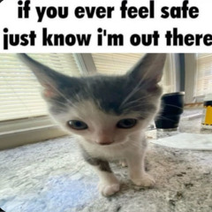 So I Won't Be Alone.