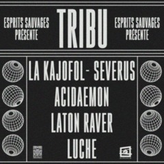 Tribu "Live Exctract"