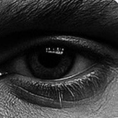 BRICAMCAM (experimental)