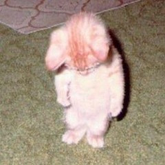 вспак обними