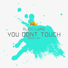 You dont touch (Original Mix)