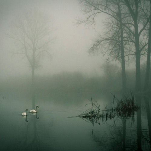 lmnl - mist