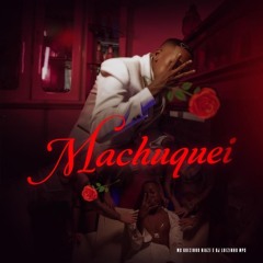 DJ LEX - MACHUQUEI - MC Guizinho Niazi remix