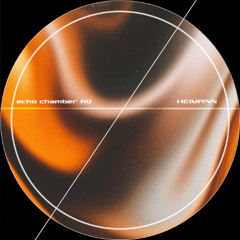 echo chamber - recording 10 - heimann
