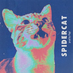 SPIDERCAT FREESTYLE (prod By Papi)