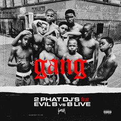 Gang (feat. Evil B vs B Live)