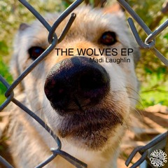 Madi Laughlin - Wolves Pt. 1