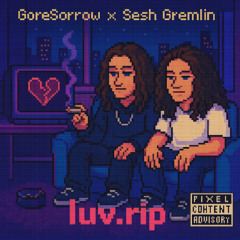 luv.rip ft Sesh Gremlin [DrxpDeadProd]