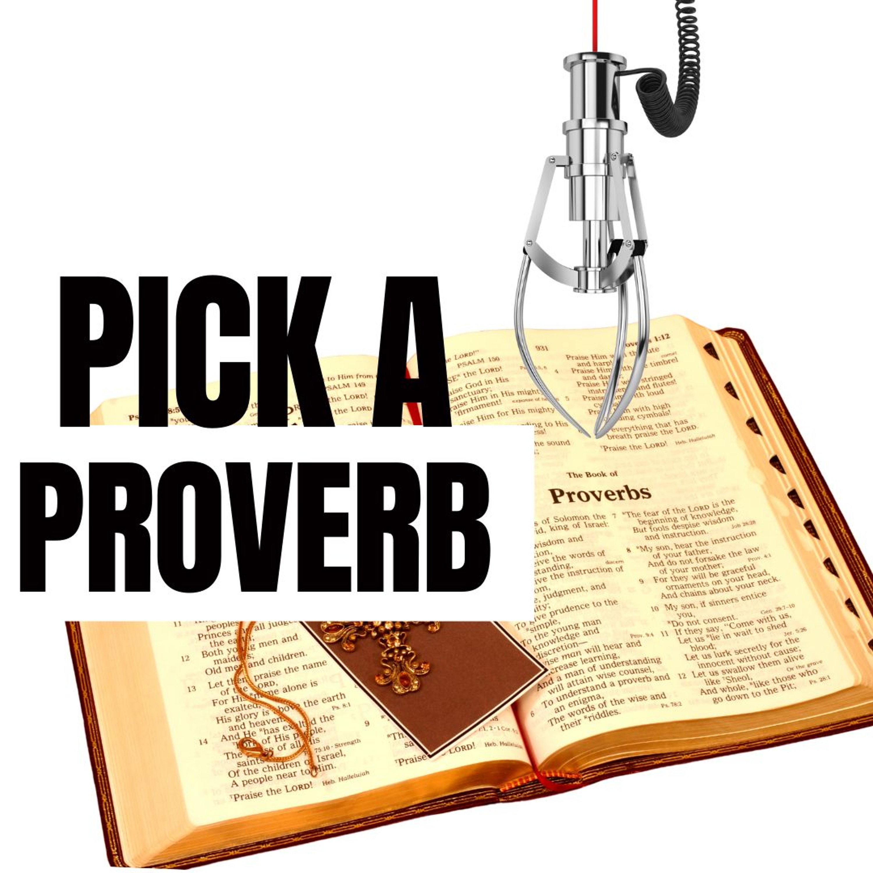 Pick a Proverb | 19:21 | Erika Bond