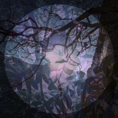 PREMIERE: Ryft - Frumefni [Circular Limited]