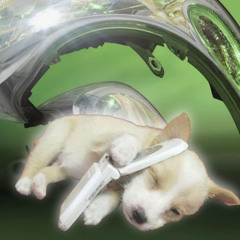 mtg websexo (c mutual eh mais gostoso) [[ml buch mix]]