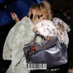 stephan navasardjan - bodybags/birkinbags