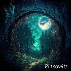 Midnight Stories 17 Guestmix Pinkowitz