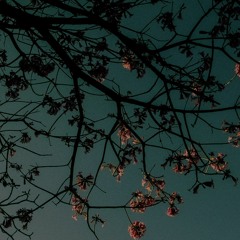 um loop pra quem fala sozinho