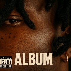 FUN - Big Brother Amos(Indie Country/Blues)